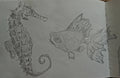 Water animals