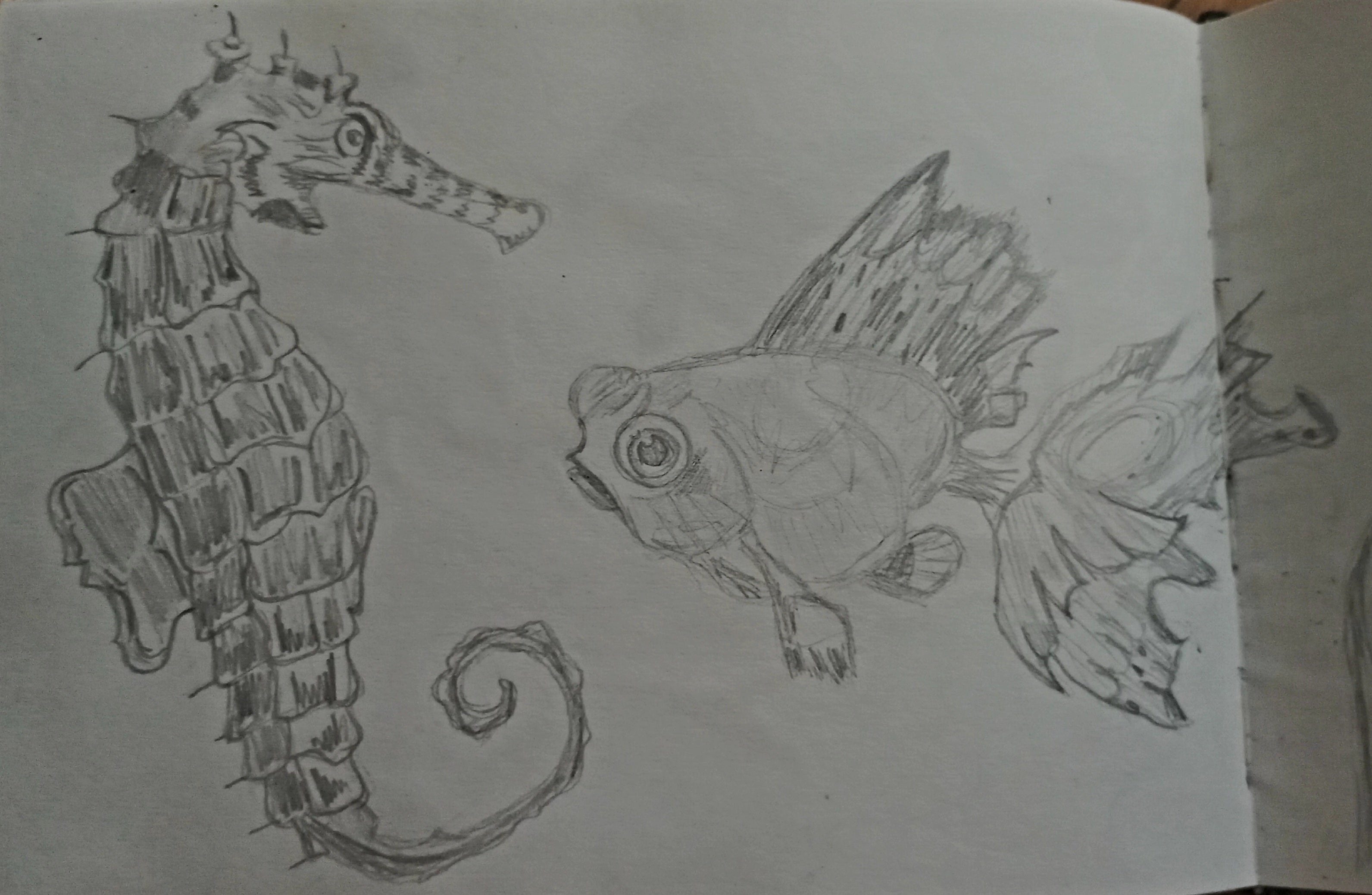 Water animals