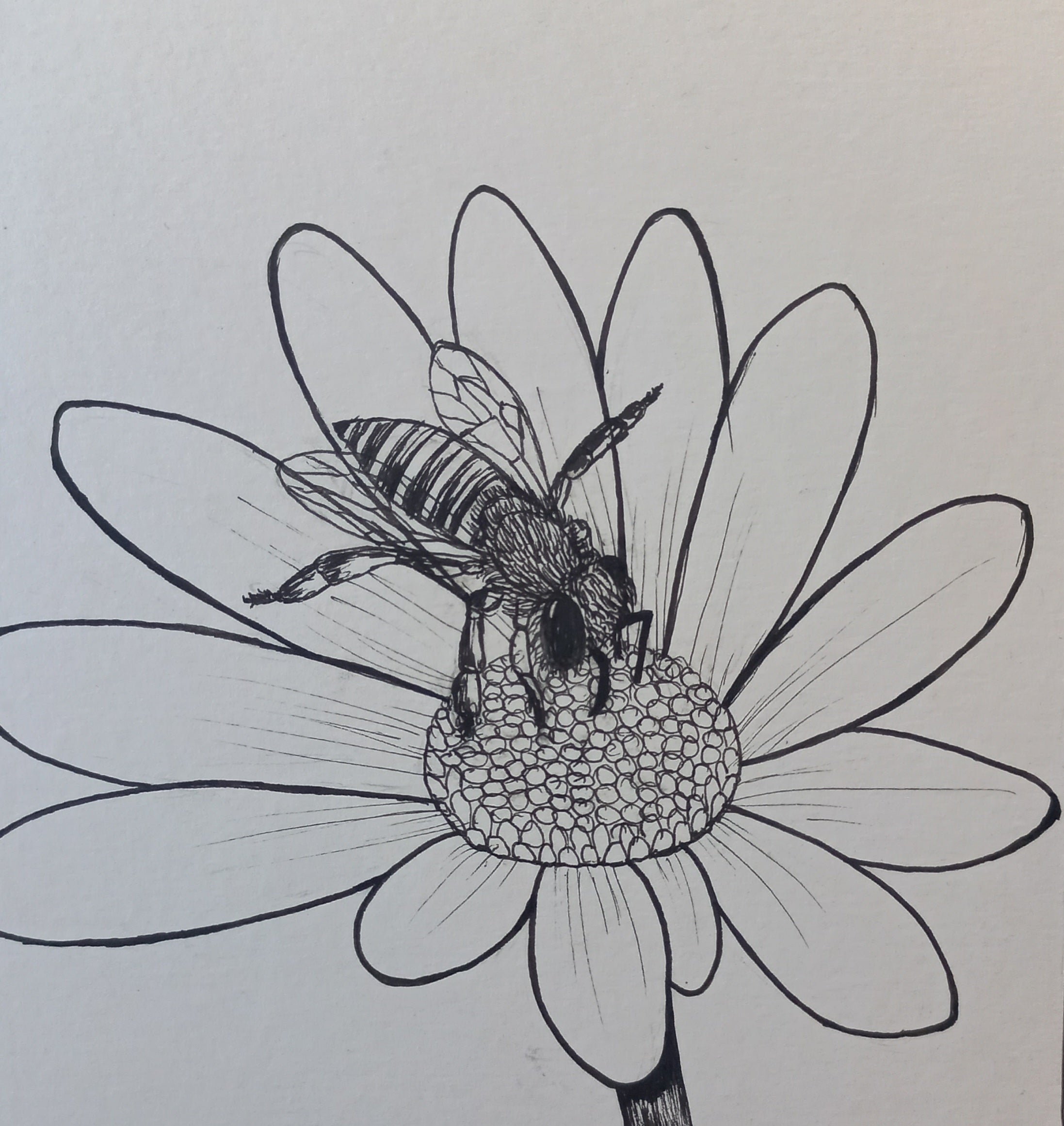 Bee