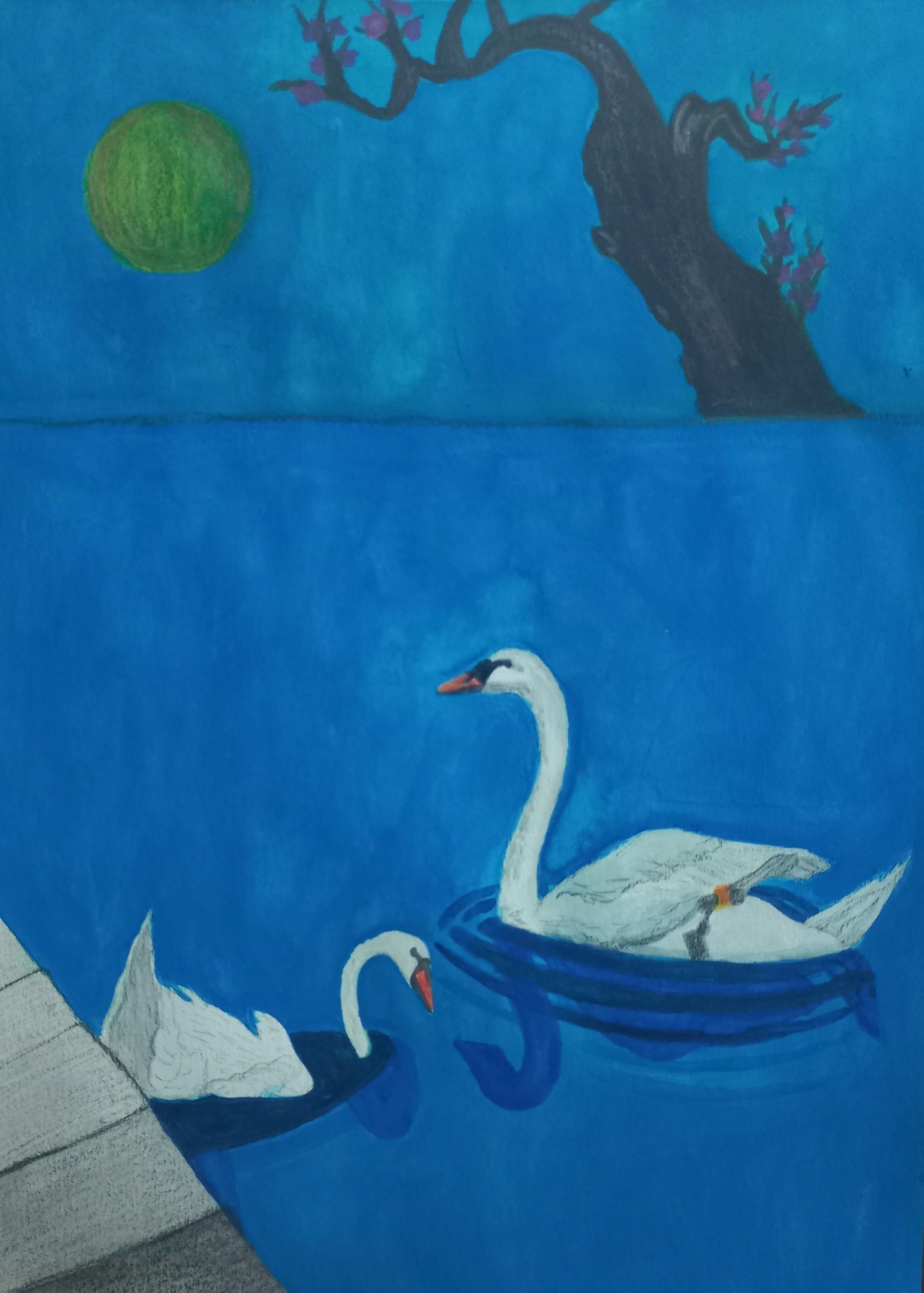 Swans in water