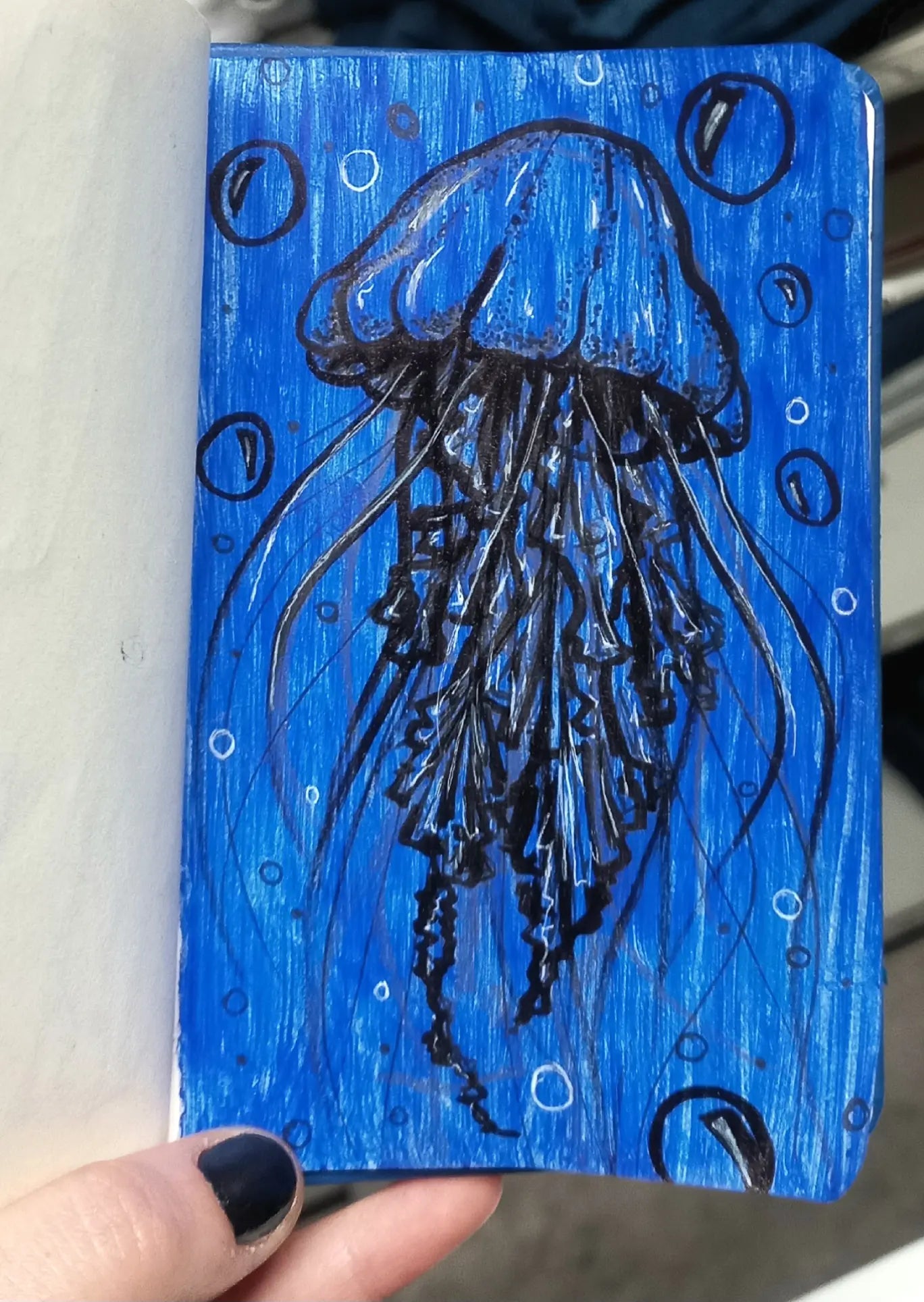 Jellyfish