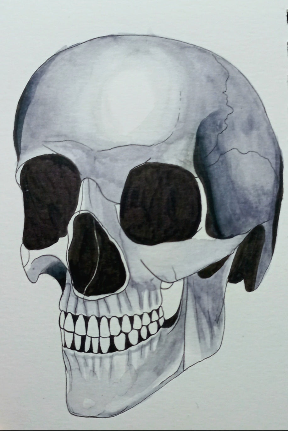 Skull