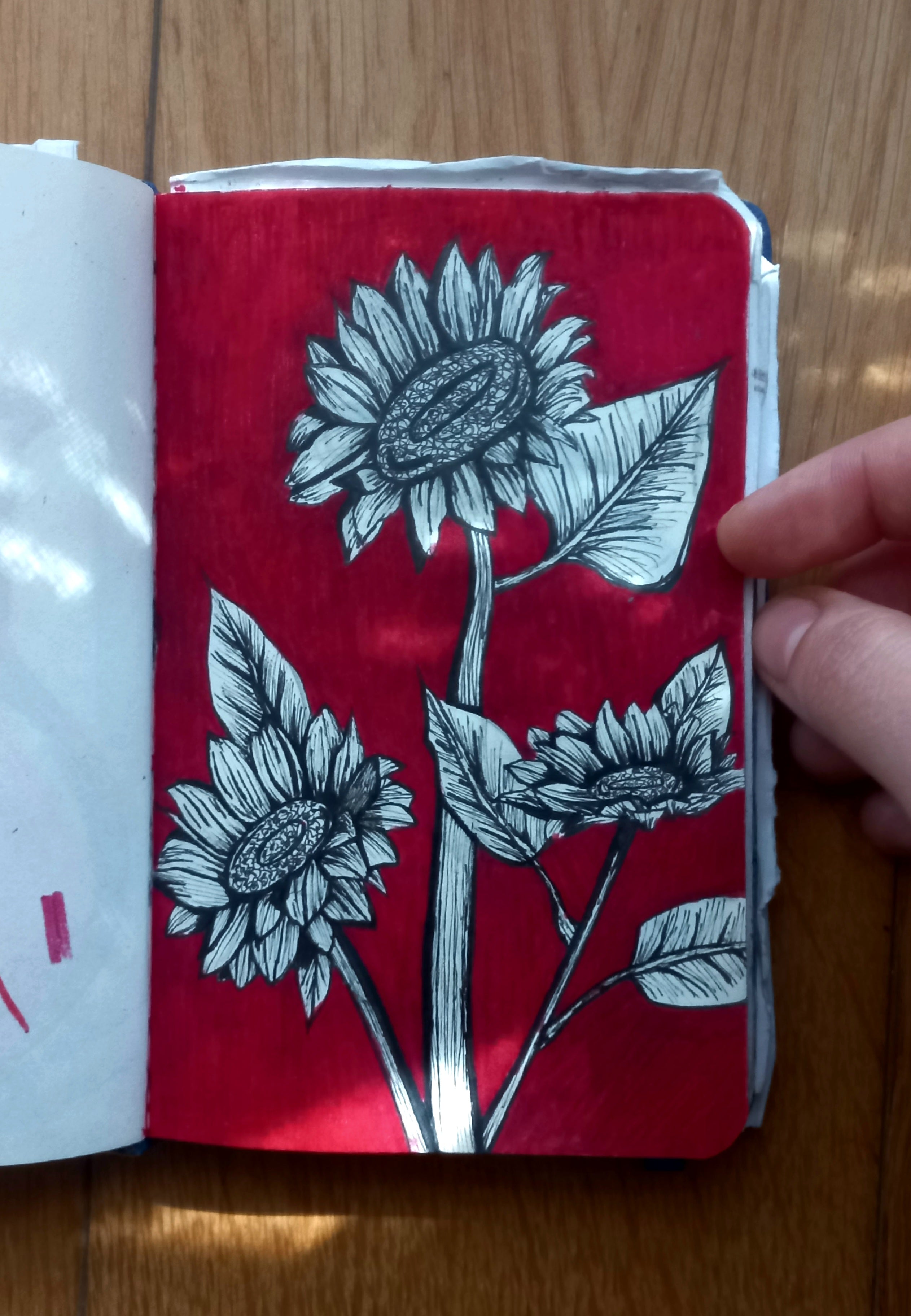 Sunflower