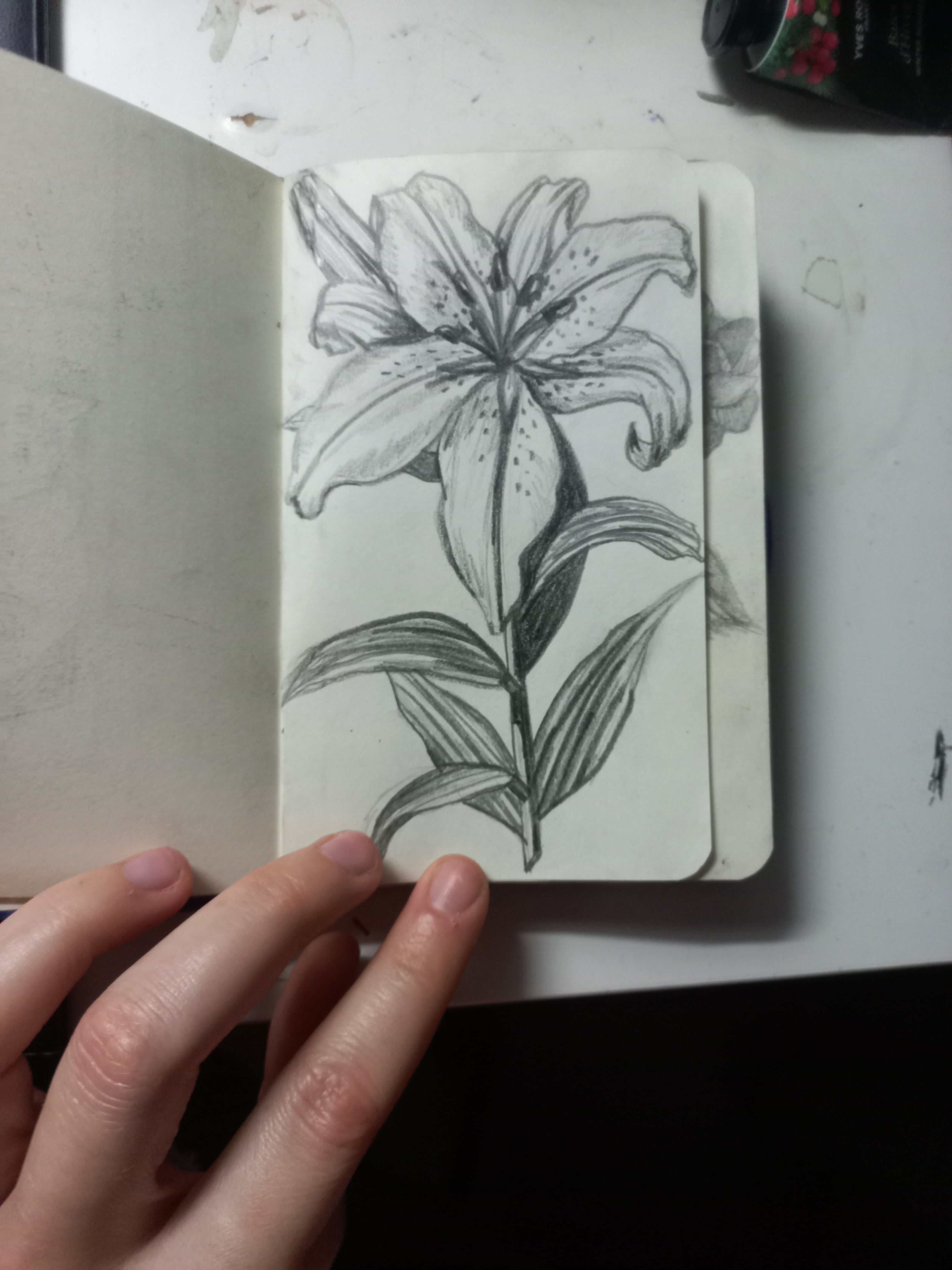 Flower